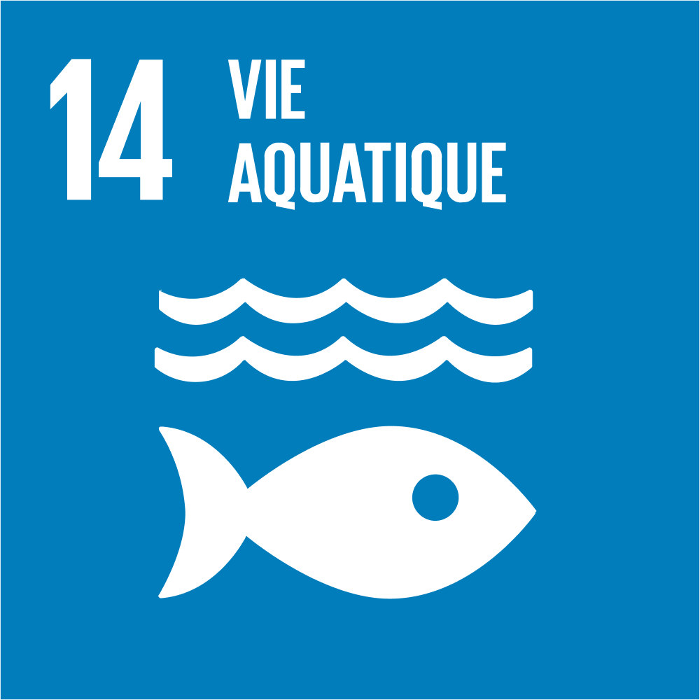 ODD 14 – Vie aquatique