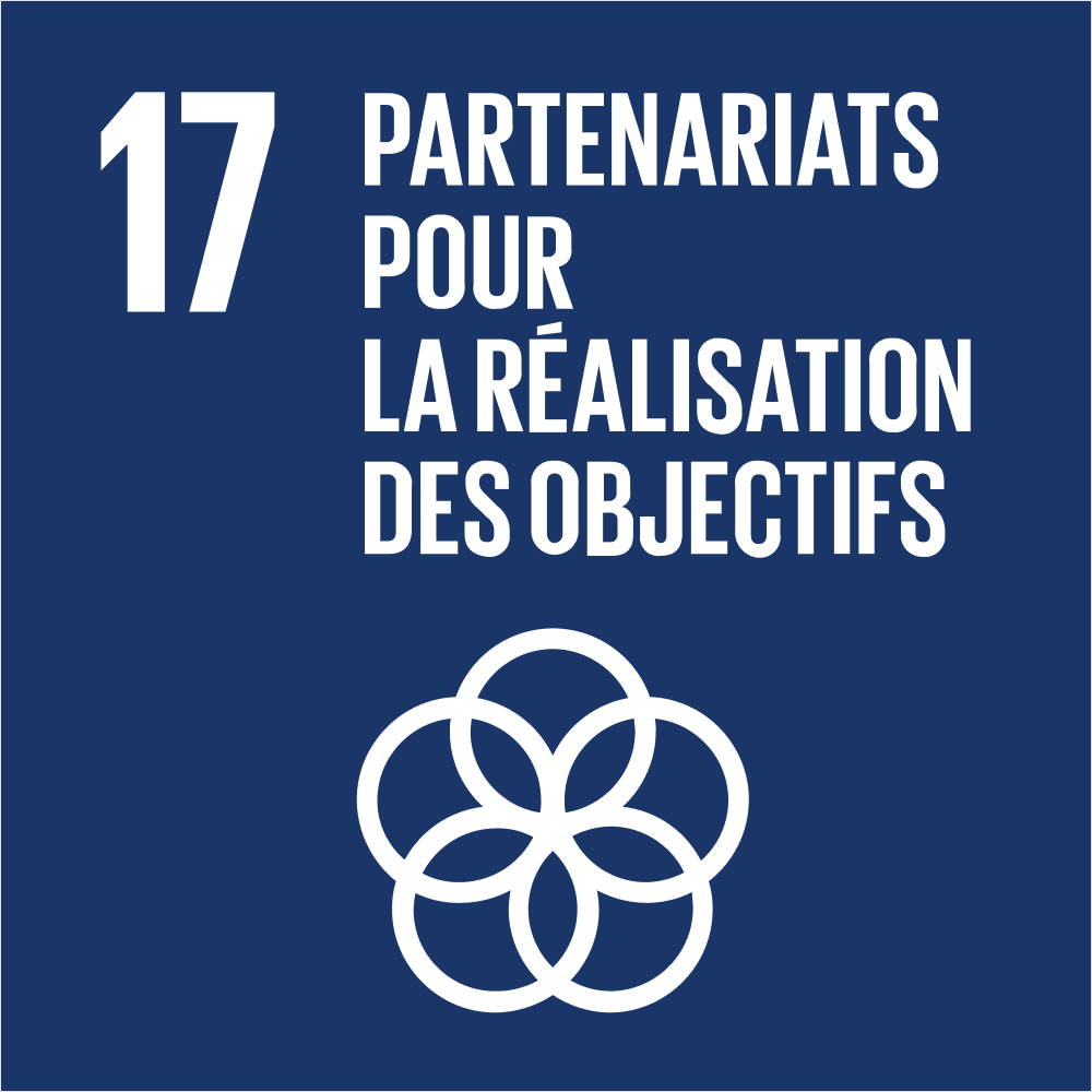 ODD 17 – Partenariats pour la réalisation des objectifs
