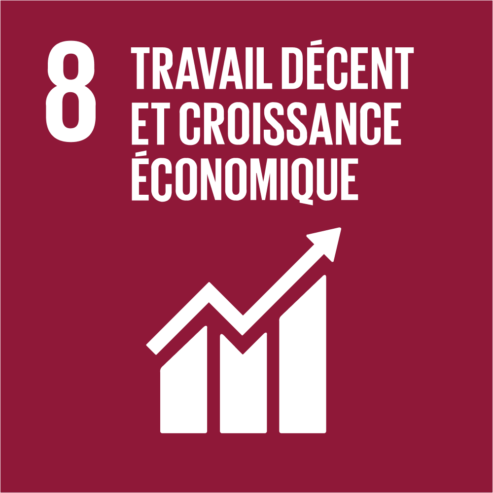 ODD 8 – Travail décent et croissance économique